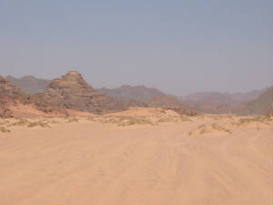 jan2004061.jpg